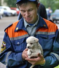 ПОЗДРАВЛЕНИЕ С ДНЁМ СПАСАТЕЛЯ ПОЗДРАВЛЕНИЕ С ДНЁМ СПАСАТЕЛЯ