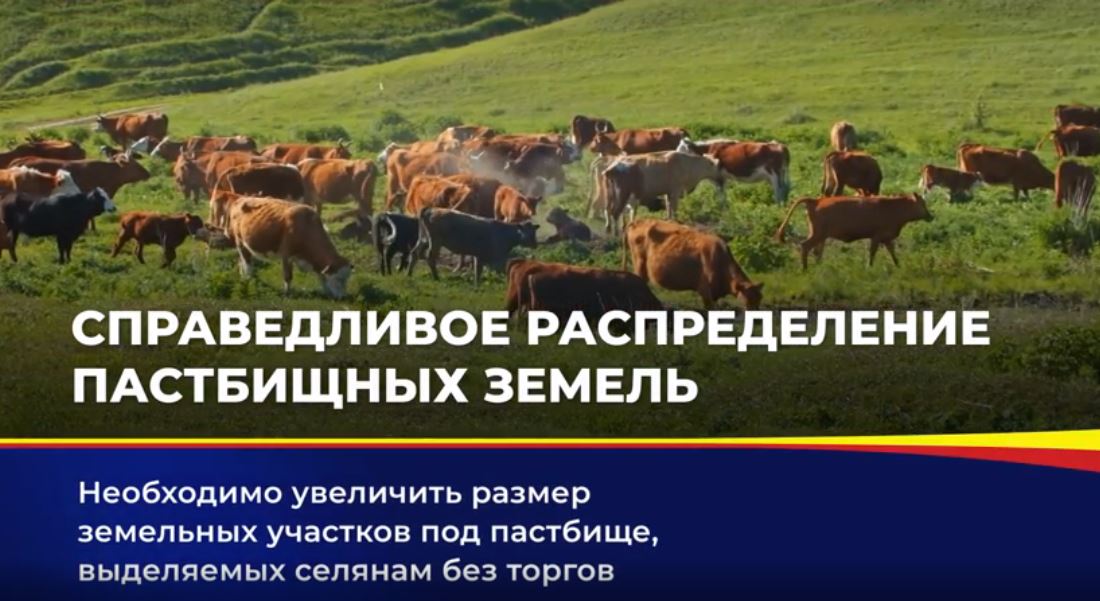 В Ростовской области могут в 2,5 раза увеличить размер участка земли под пастбище для личных нужд