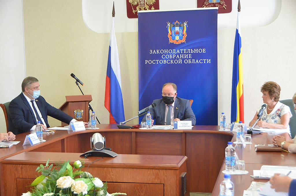 «Антикризисные продукты» для бизнеса в Ростовской области обсудили в донском парламенте