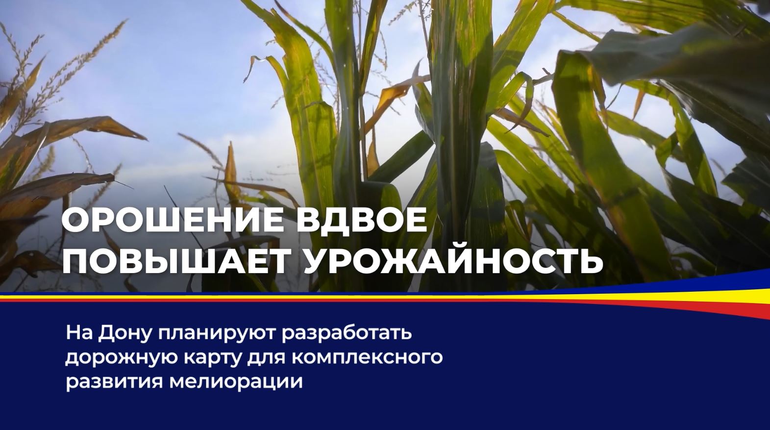 На Дону планируют разработать дорожную карту для комплексного развития мелиорации