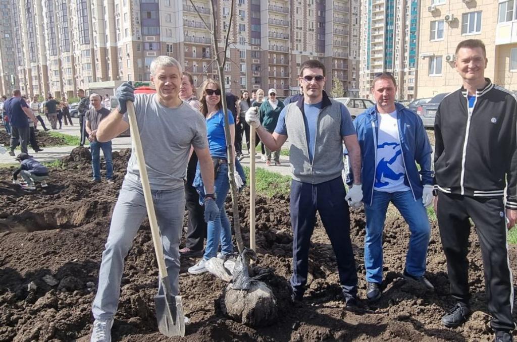Сергей Заревский и Сергей Ковалев высадили деревья в Советском районе Ростова-на-Дону