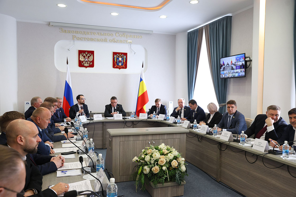 В донском парламенте прошло заседание комиссии Совета Федерации по совершенствованию законодательства в сфере контроля и надзора