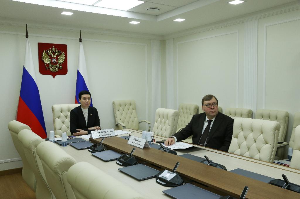 В Совете Федерации представлен опыт Ростовской области по реализации общественных инициатив