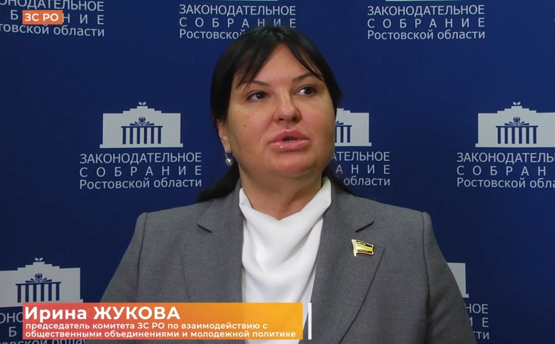 В донском парламенте продолжается работа по поддержке наставничества детей-сирот