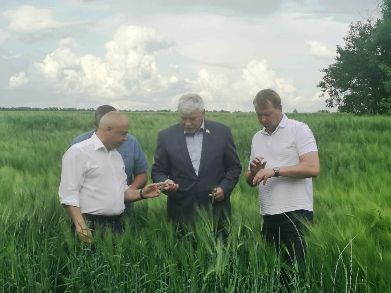 Вячеслав Василенко: «Уборка урожая - прекрасный итог очень нелегкого труда»