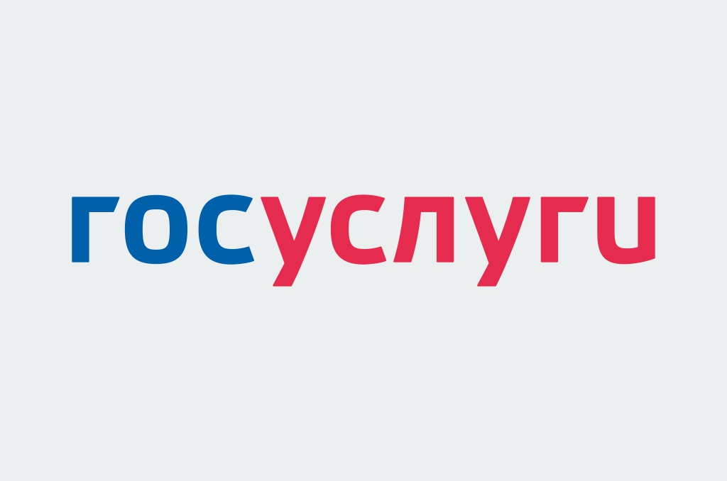 Картинка сайта госуслуги