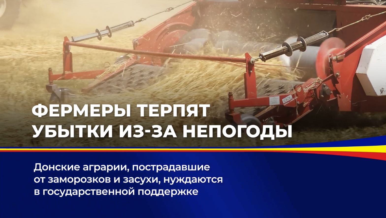 Донские аграрии, пострадавшие от заморозков и засухи, нуждаются в государственной поддержке