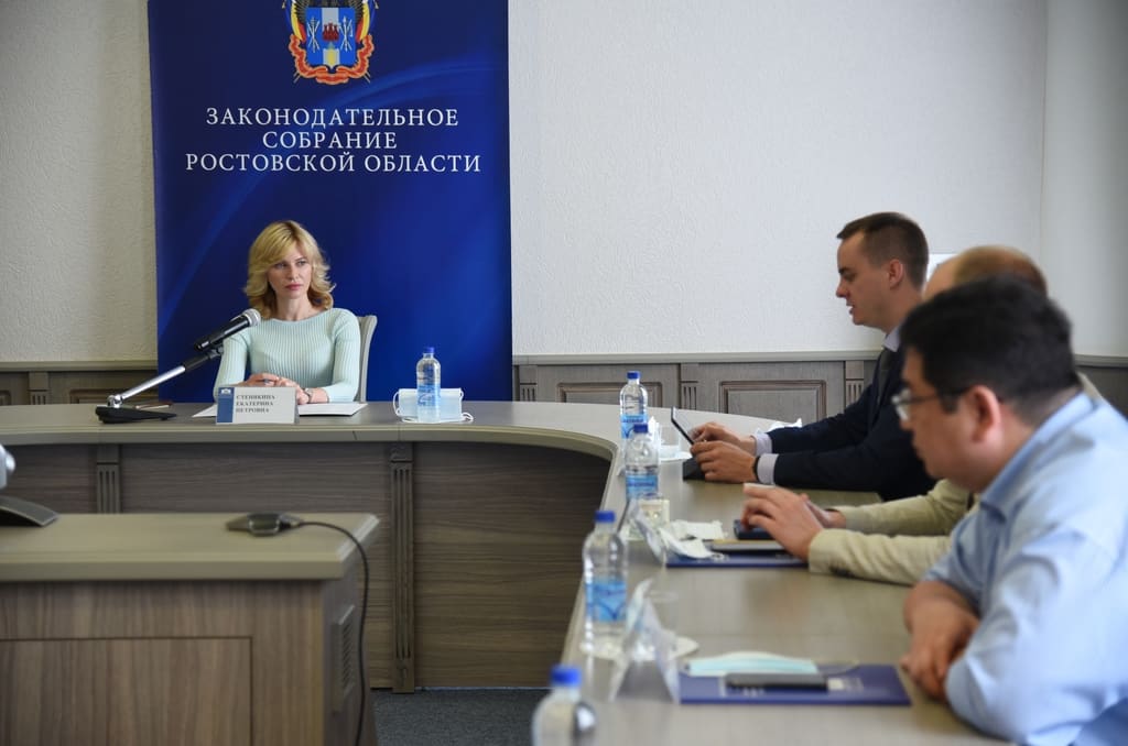 В донском парламенте состоялось обсуждение мер поддержки молодежных НКО Ростовской области