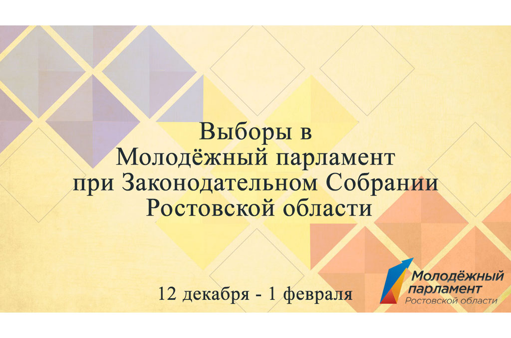 1 февраля завершатся выборы в Молодежный парламент 1 февраля завершатся выборы в Молодежный парламент
