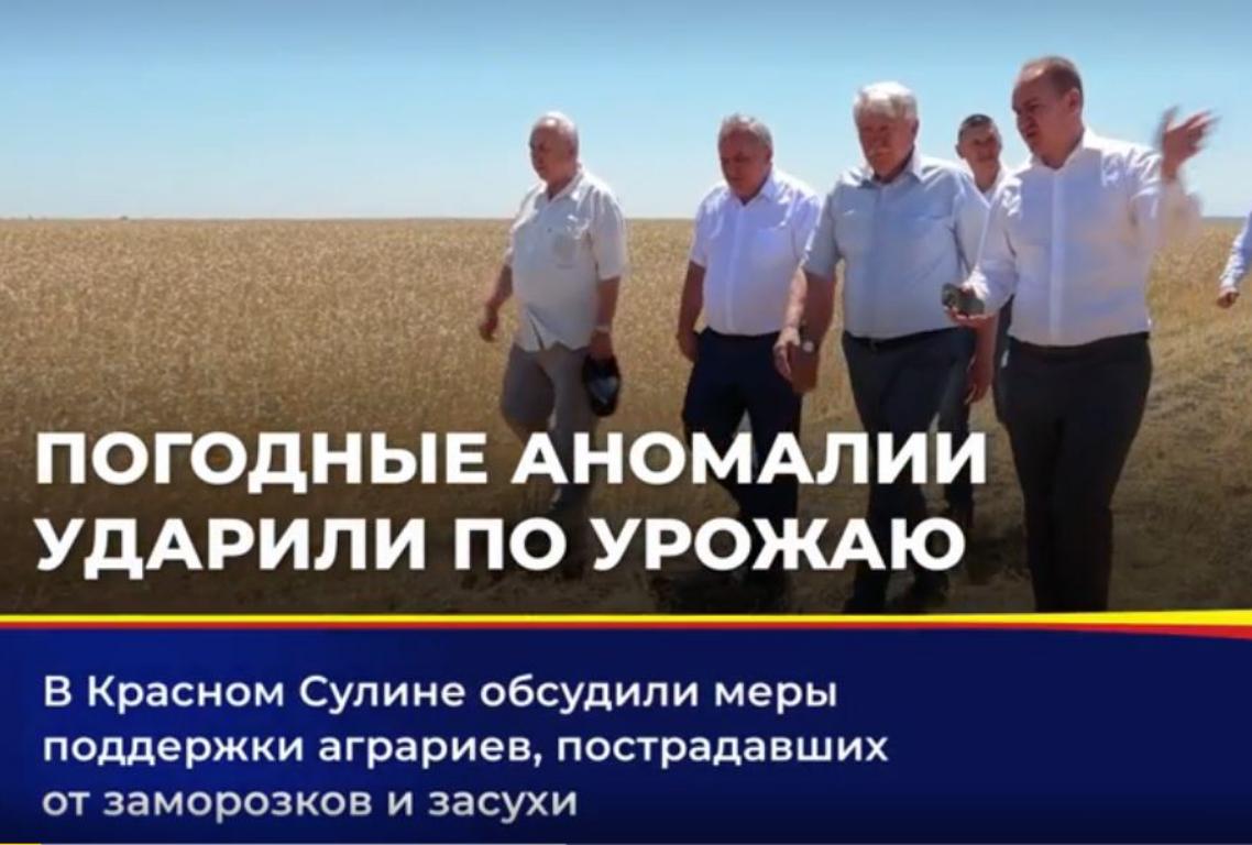 Аграриям Ростовской области нужна поддержка в засушливые годы