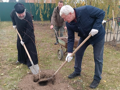 Вячеслав Василенко высадил деревья в Кашарском районе 