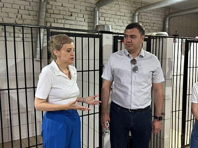 Раджив Мирзалиев познакомился с работой Центра стерилизации и вакцинации животных «Собачий патруль»