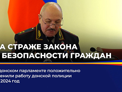 В донском парламенте положительно оценили работу донской полиции на 2024 год