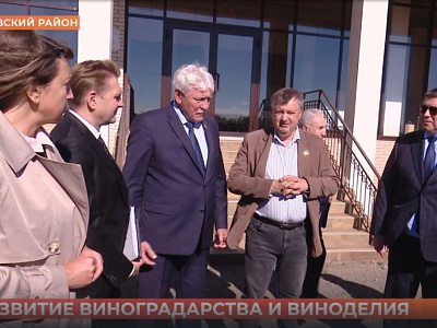Круглый стол на тему: «О реализации Областного закона «О развитии виноградарства и виноделия в Ростовской области»