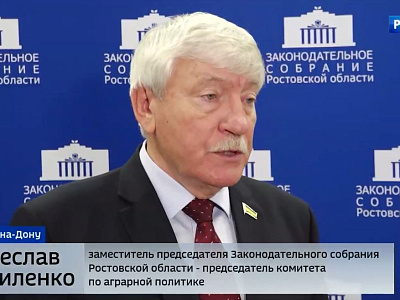В преддверии заседания донского парламента прошли заседания комитетов