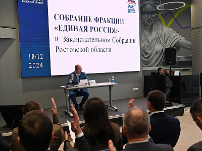 Изображение новости Собрание фракции "Единая Россия" №38