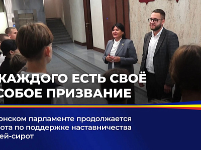 В донском парламенте продолжается работа по поддержке наставничества детей-сирот