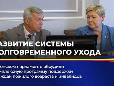 В Донском парламенте обсудили комплексную программу поддержки граждан пожилого возраста и инвалидов