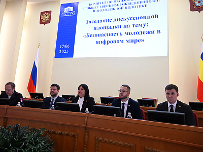 Изображение новости Заседание дискуссионной площадки на тему «Безопасность молодежи в цифровом мире» №3