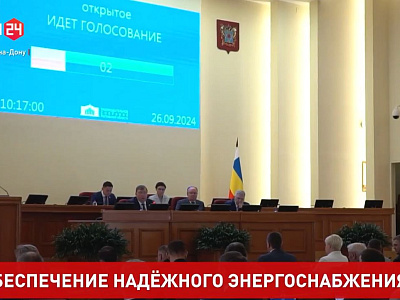 Обеспечение дончан надежным энергоснабжением обсудили на заседании Законодательного Собрания