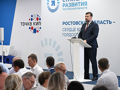 Изображение новости Депутаты приняли участие в разработке рекомендаций по актуализации Стратегии развития Дона до 2030 года №27
