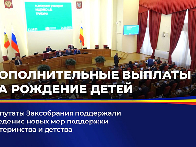 Депутаты Заксобрания поддержали введение новых мер поддержки материнства и детства