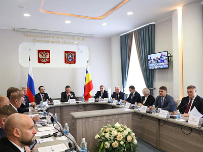 В донском парламенте прошло заседание комиссии Совета Федерации по совершенствованию законодательства в сфере контроля и надзора