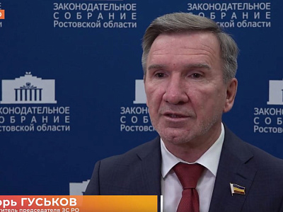 Завершился второй этап конкурса «Лучший молодежный парламент в Ростовской области в 2025 году»