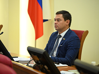 22-е заседание ЗС РО:  Бесплатной юридической помощью теперь смогут воспользоваться все многодетные семьи