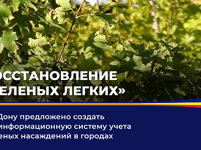 На Дону предложено создать геоинформационную систему учета зеленых насаждений в городах 