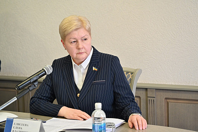 Фотография депутата ЕЛИСЕЕВА Елена Владимировна №9