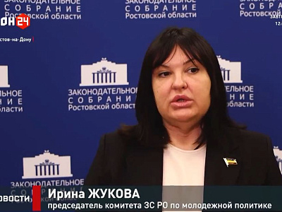 Заседание комитета по взаимодействию с общественными объединениями и молодежной политике 
