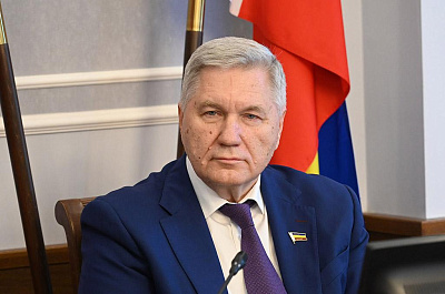 Фотография депутата МИХАЛЕВ Сергей Александрович №19