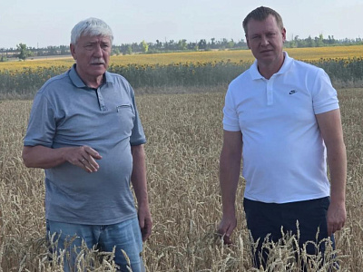 Вячеслав Василенко оценил ход уборочной кампании в Октябрьском районе