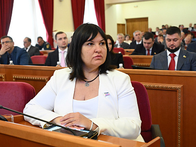 23-е заседание ЗС РО: На Дону начался эксперимент по предоставлению услуг гостевых домов