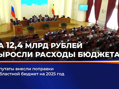 Депутаты внесли поправки в областной бюджет на 2025 год